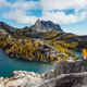 Illustration for article titled 76 Stunning Photos Of Fall Leaves